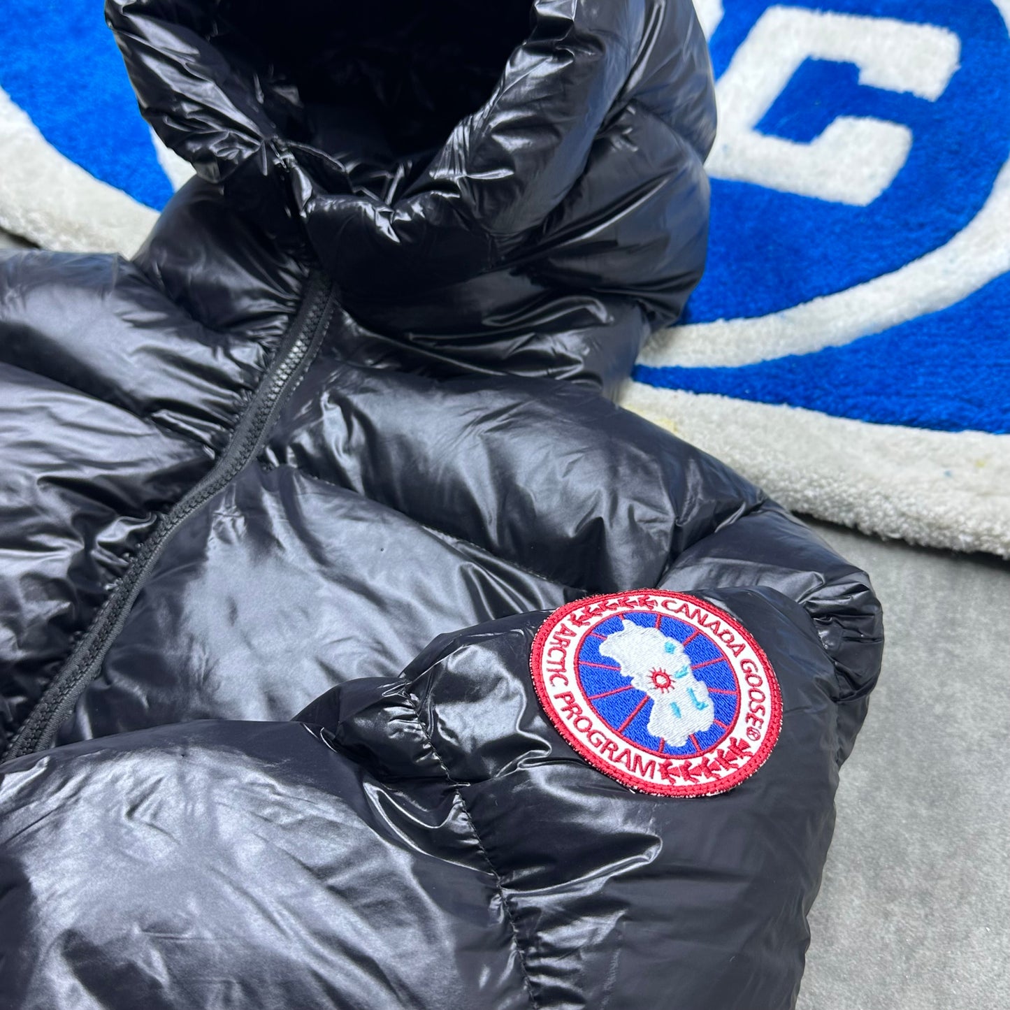 Canada goose glacée